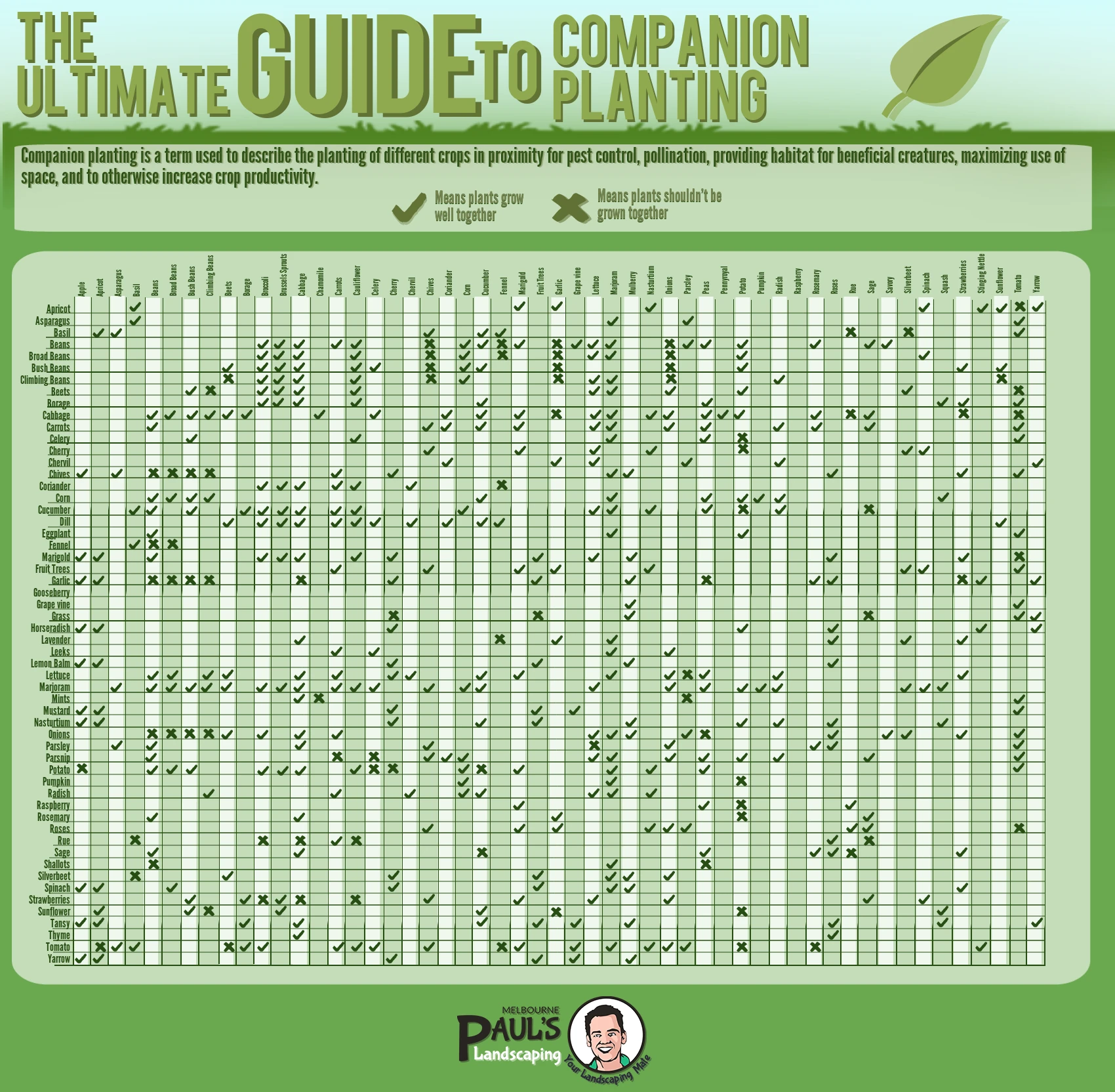 Guide To Companion Planting Benefits Plants That Thrive Together Enhance Growth Pest Control Soil Health Maximize Garden Potential.